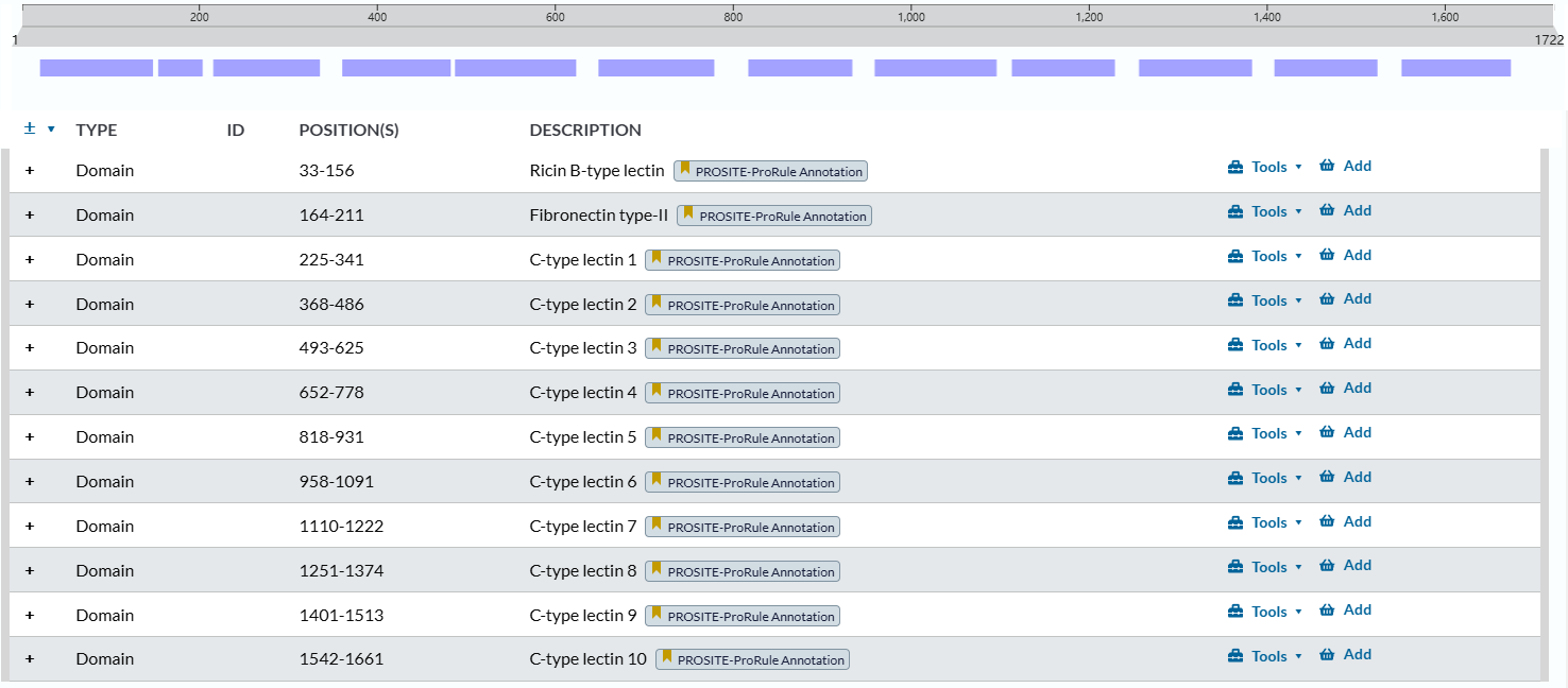 The lymphocyte antigen CD205