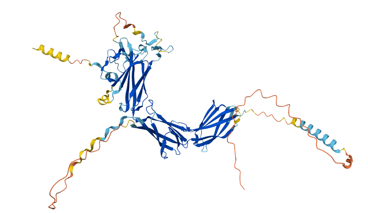 The melanogenic enzyme GPNMB The melanogenic enzyme GPNMB