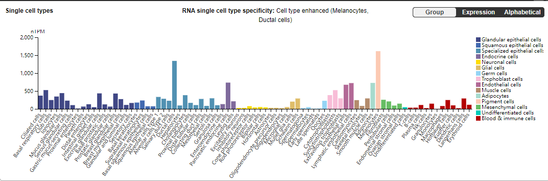 The membrane attack complex inhibitor CD59
