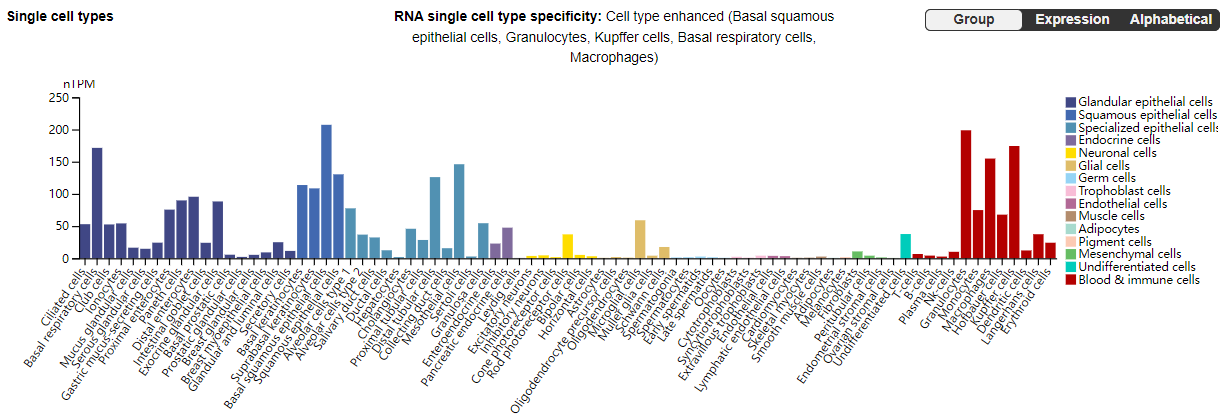The proinflammatory cytokine IL18