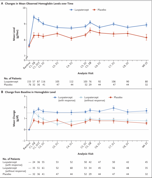 The target of Activin receptor type 2B ACVR2B