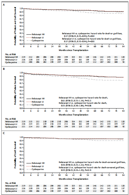 The target of Cluster of Differentiation80 CD80