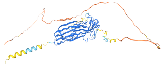 The target of Domain Containing3 LYPD3 The target of Domain Containing3 LYPD3