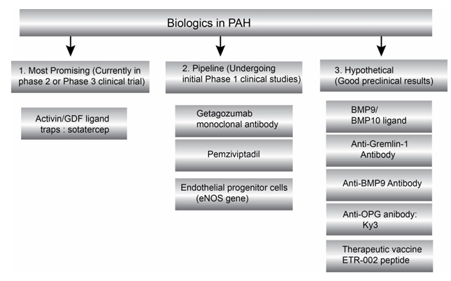 The target of Endothelin 1 receptor EDNRA The target of Endothelin 1 receptor EDNRA