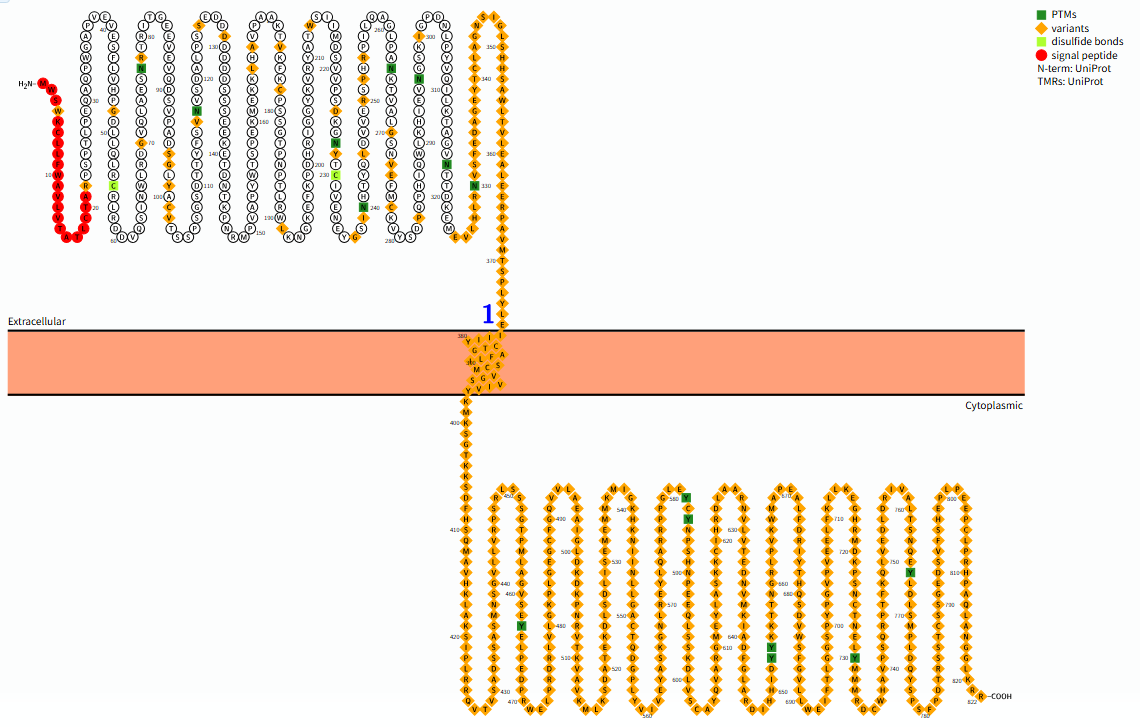 The target of Fibroblast growth factor receptor FGFR1