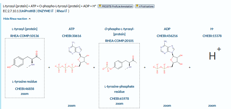 The target of Fibroblast growth factor receptor2 FGFR2 The target of Fibroblast growth factor receptor2 FGFR2