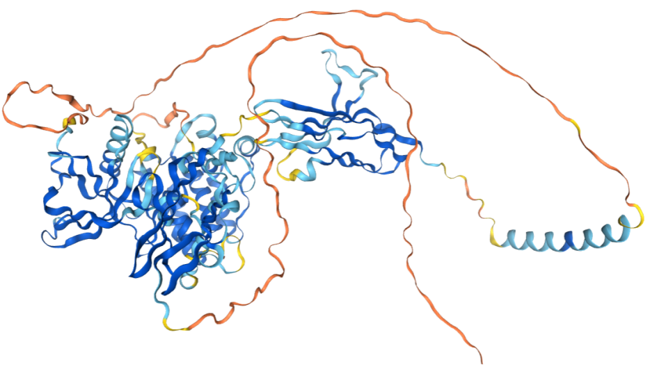 The target of Fibroblast growth factor receptor2 FGFR2 The target of Fibroblast growth factor receptor2 FGFR2