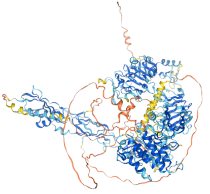 The target of Insulin receptor INSR The target of Insulin receptor INSR