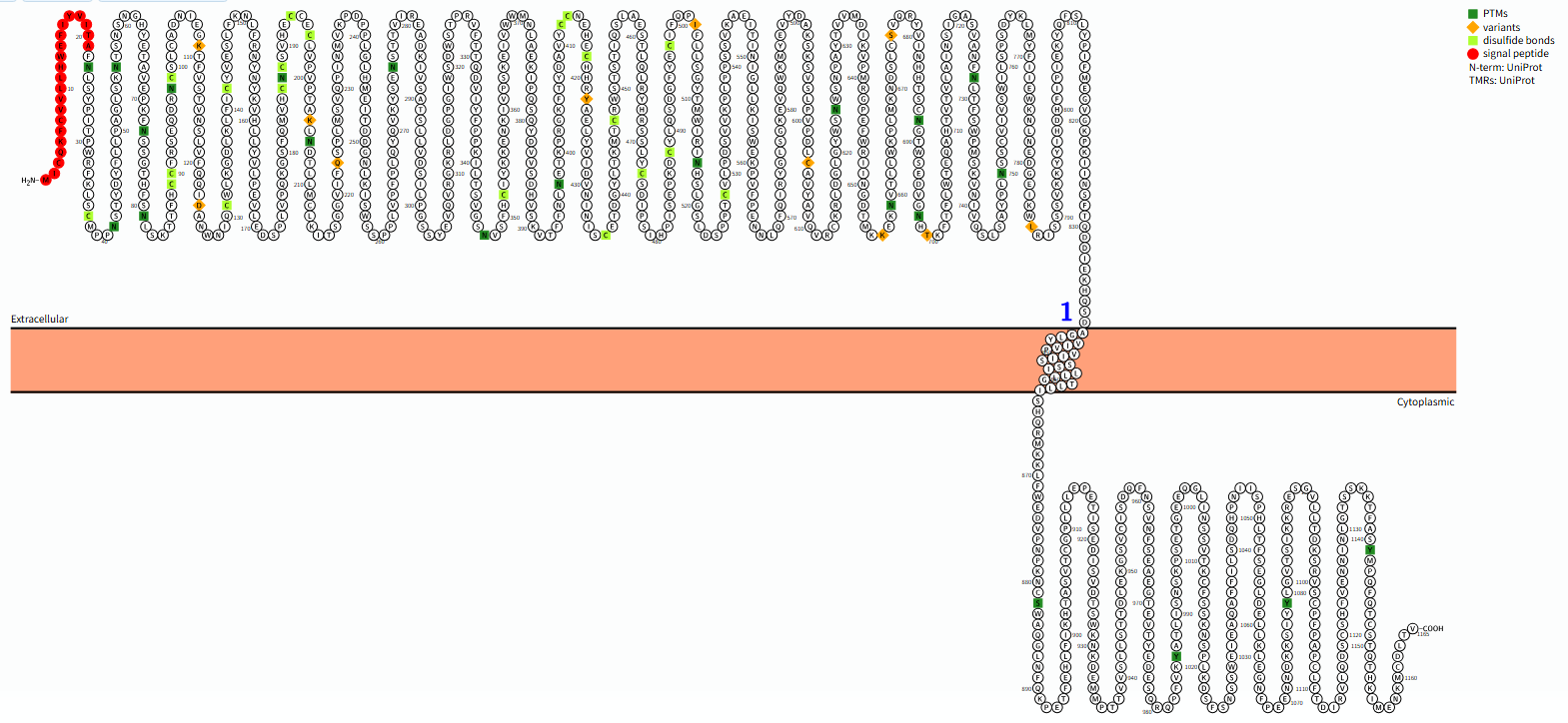 The target of Leptin receptor LEPR The target of Leptin receptor LEPR