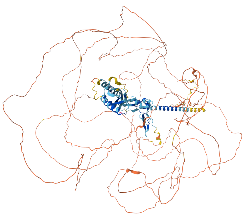 The target of MUC17 transmembrane mucin MUC17 The target of MUC17 transmembrane mucin MUC17