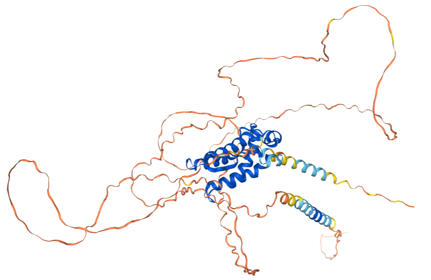 The target of Macrophage colony stimulating factor 1 CSF1 The target of Macrophage colony stimulating factor 1 CSF1
