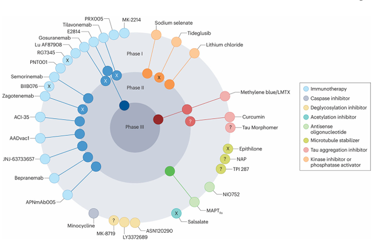 The target of Microtubule Associated Protein Tau MAPT