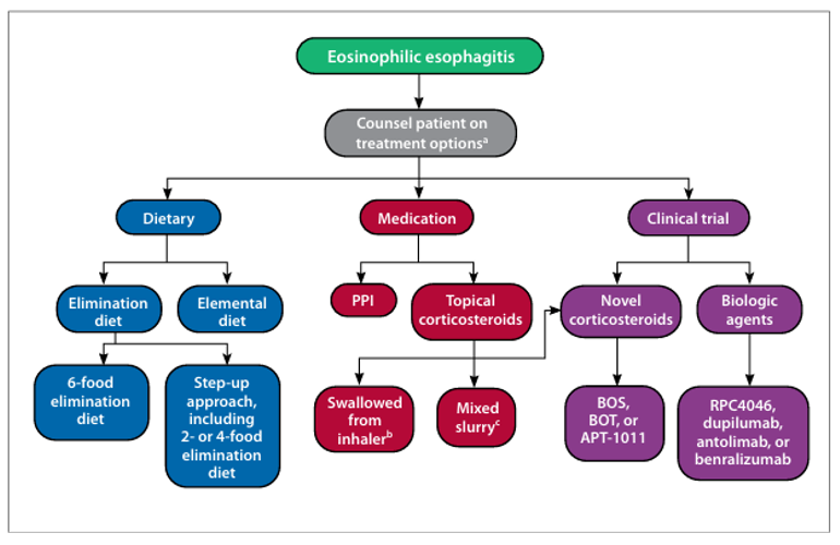 The target of Sialic acid-binding Ig-like lectin 8 SIGLEC8 The target of Sialic acid-binding Ig-like lectin 8 SIGLEC8