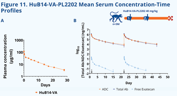 The target of Solute Carrier Family 1 Member 5 SLC1A5 The target of Solute Carrier Family 1 Member 5 SLC1A5