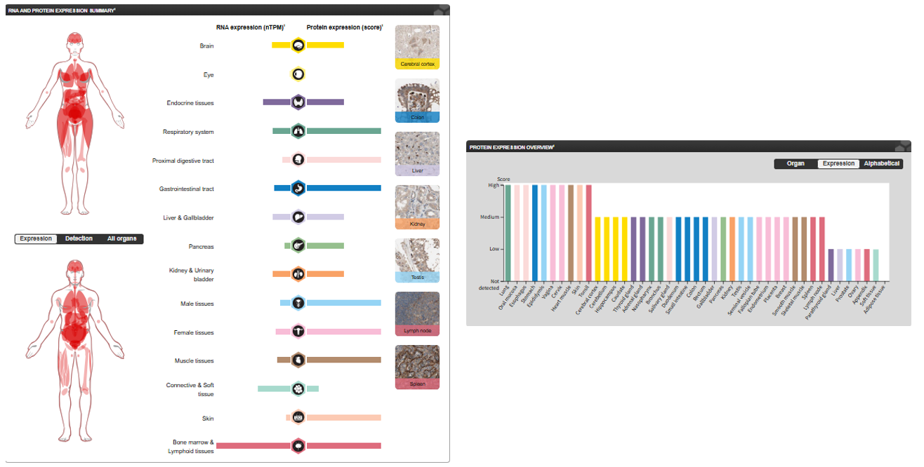 The target of Stabilin-1/STAB1 The target of Stabilin-1/STAB1