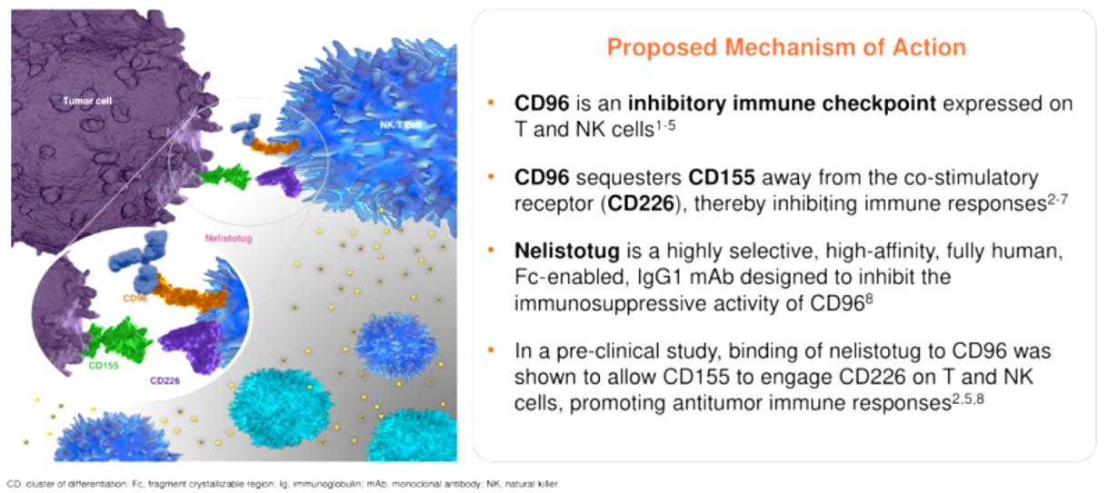 The target of T cell surface protein tactile CD96 The target of T cell surface protein tactile CD96