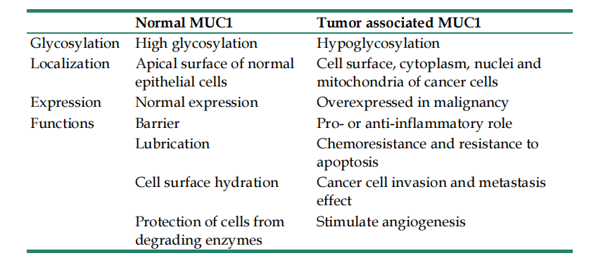 The target of tumor immunotherapy is MUC1