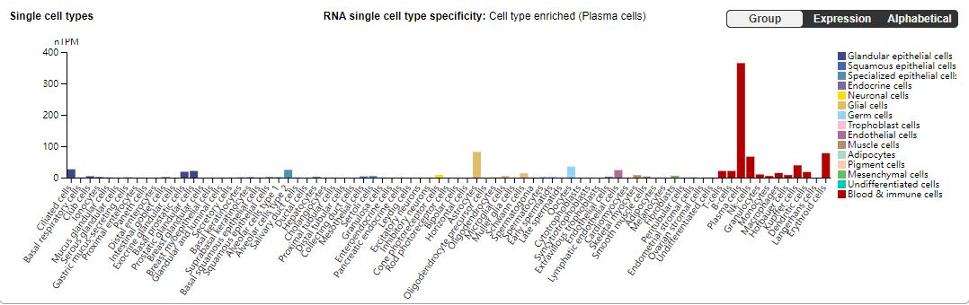Therapeutic target for multiple myeloma CD38 Therapeutic target for multiple myeloma CD38