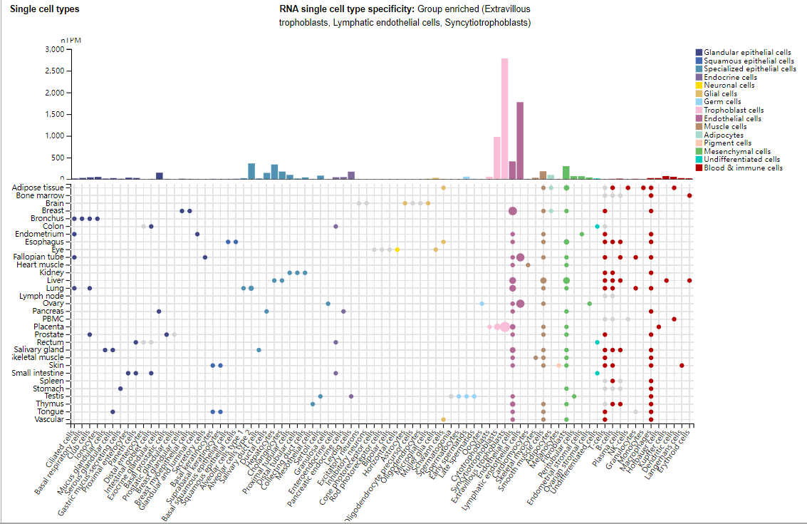 Tissue factor pathway inhibitor TFPI