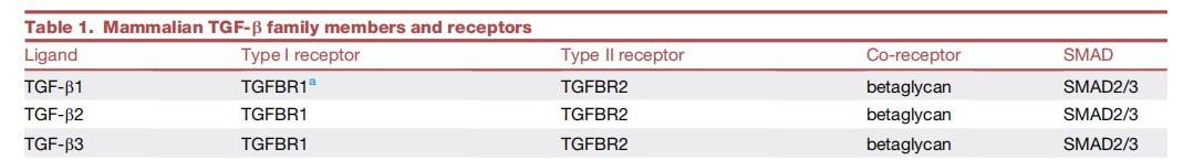 Transmembrane serine threonine kinases TGFBR1 and TGFBR2