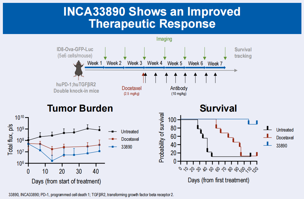 Transmembrane serine threonine kinases TGFBR1 and TGFBR2