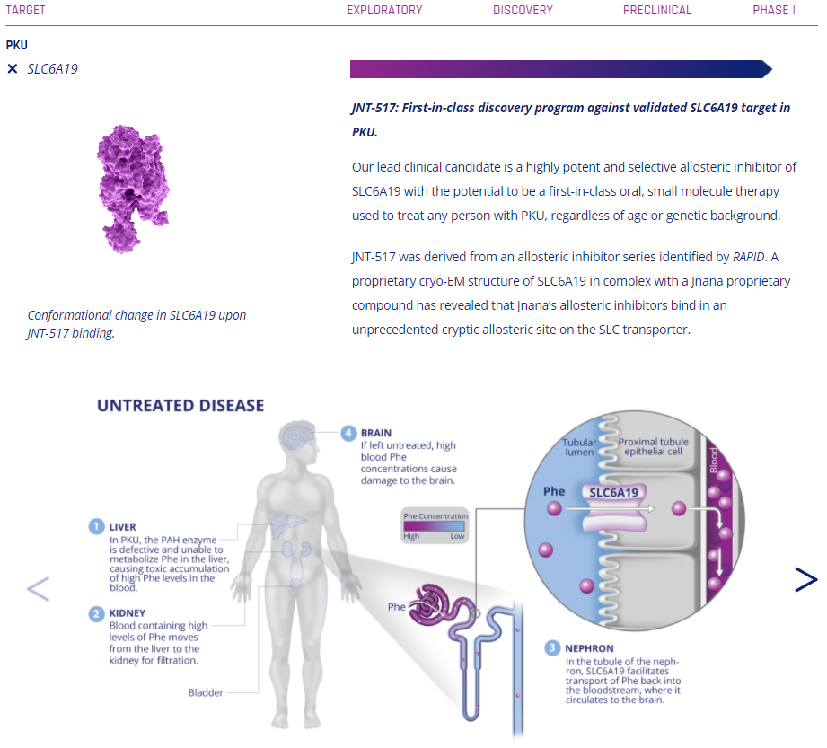 转运蛋白超家族:SLC 转运蛋白超家族:SLC