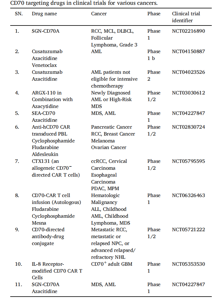 Tumor immune regulator CD70
