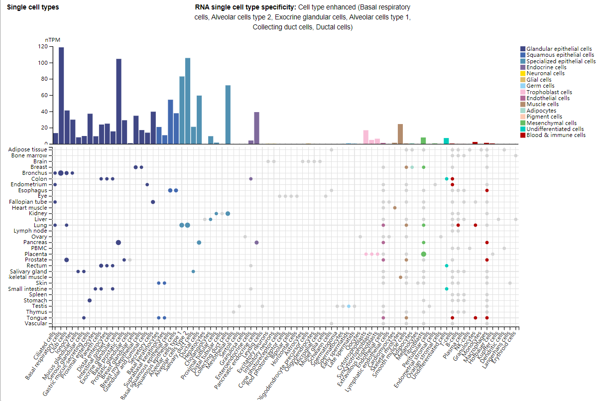 Tumor immunoregulatory target ITGB6