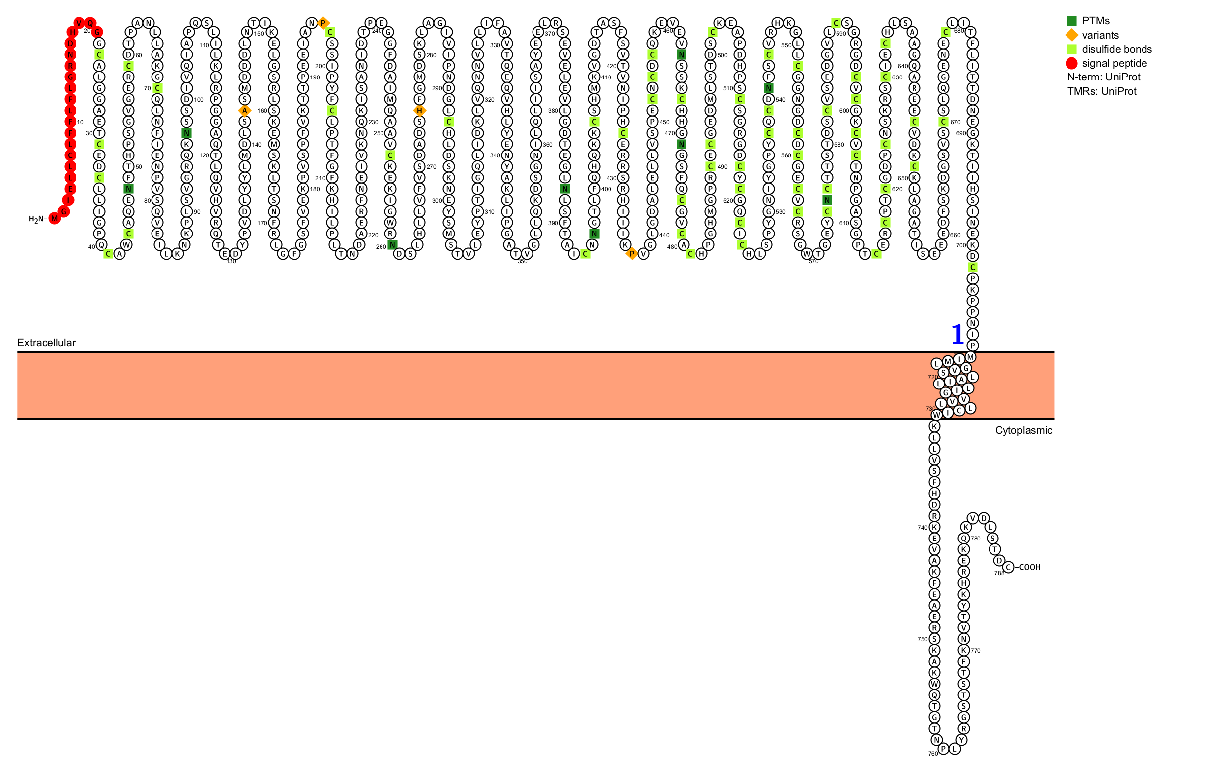 Tumor immunoregulatory target ITGB6