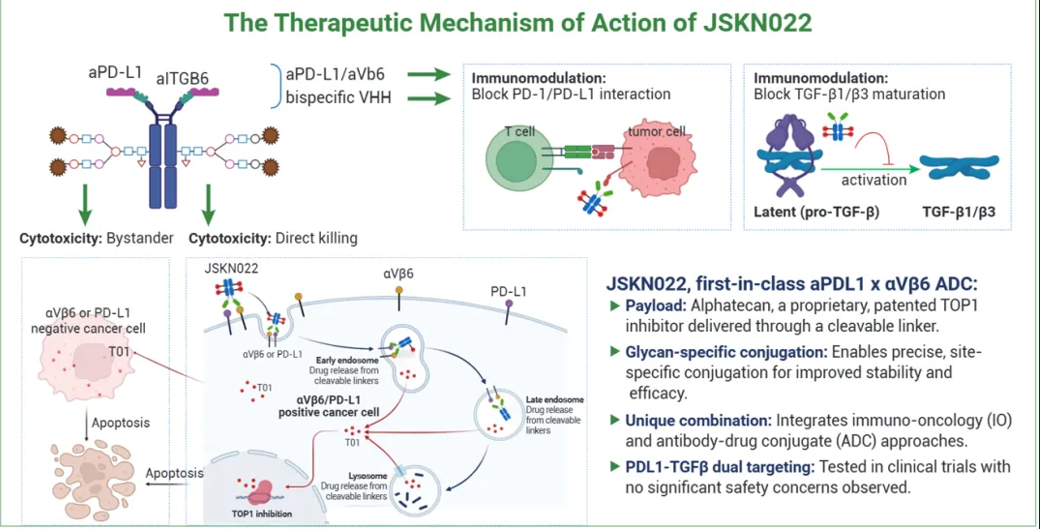 Tumor immunoregulatory target ITGB6