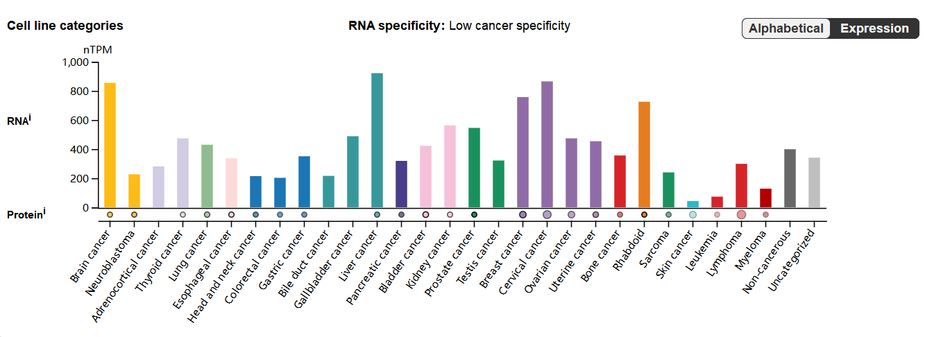 Tumor microenvironment homeostasis regulator CLU Tumor microenvironment homeostasis regulator CLU
