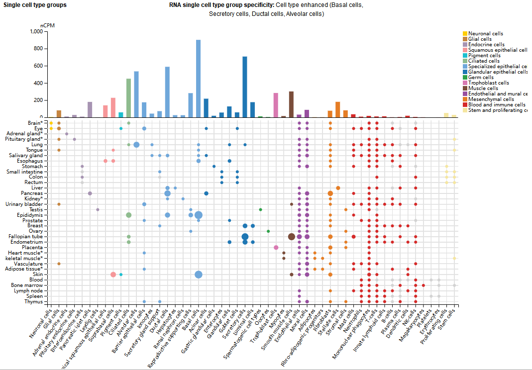 Tumor necrosis facto superfamily receptor TWEAKR