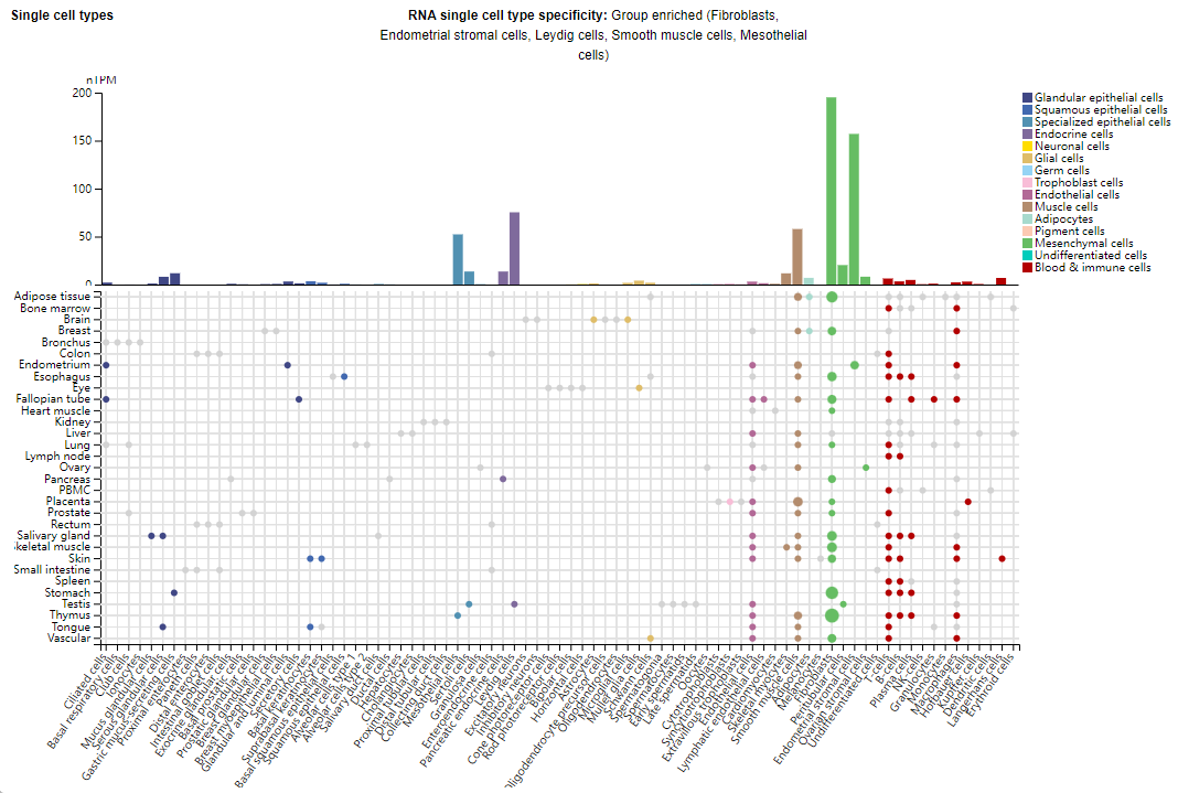 Tumor specific marker CD248