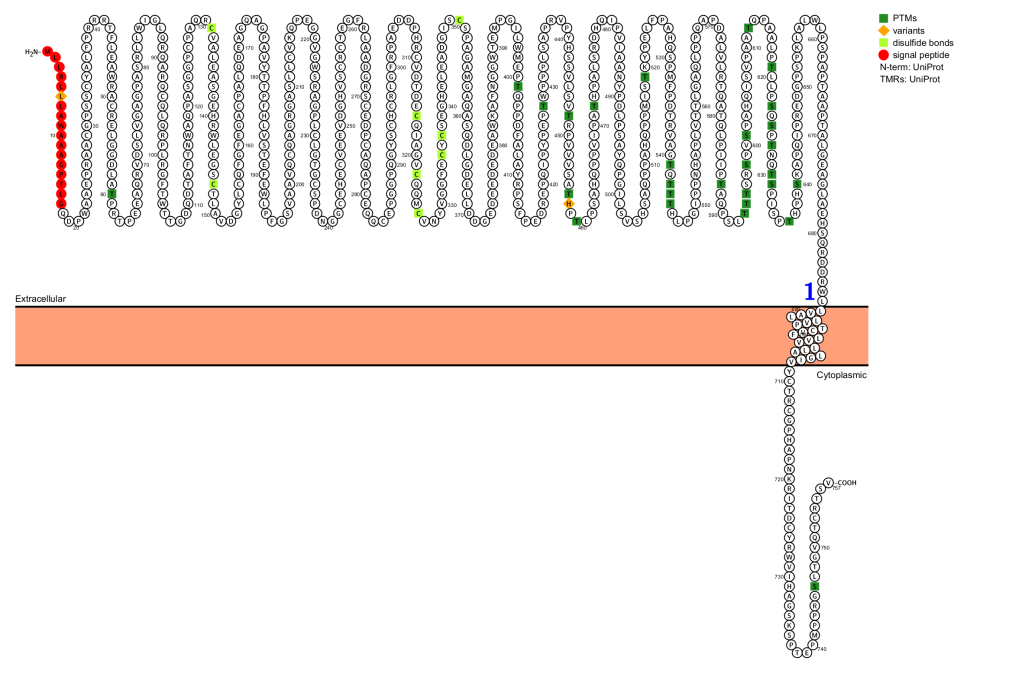 Tumor specific marker CD248
