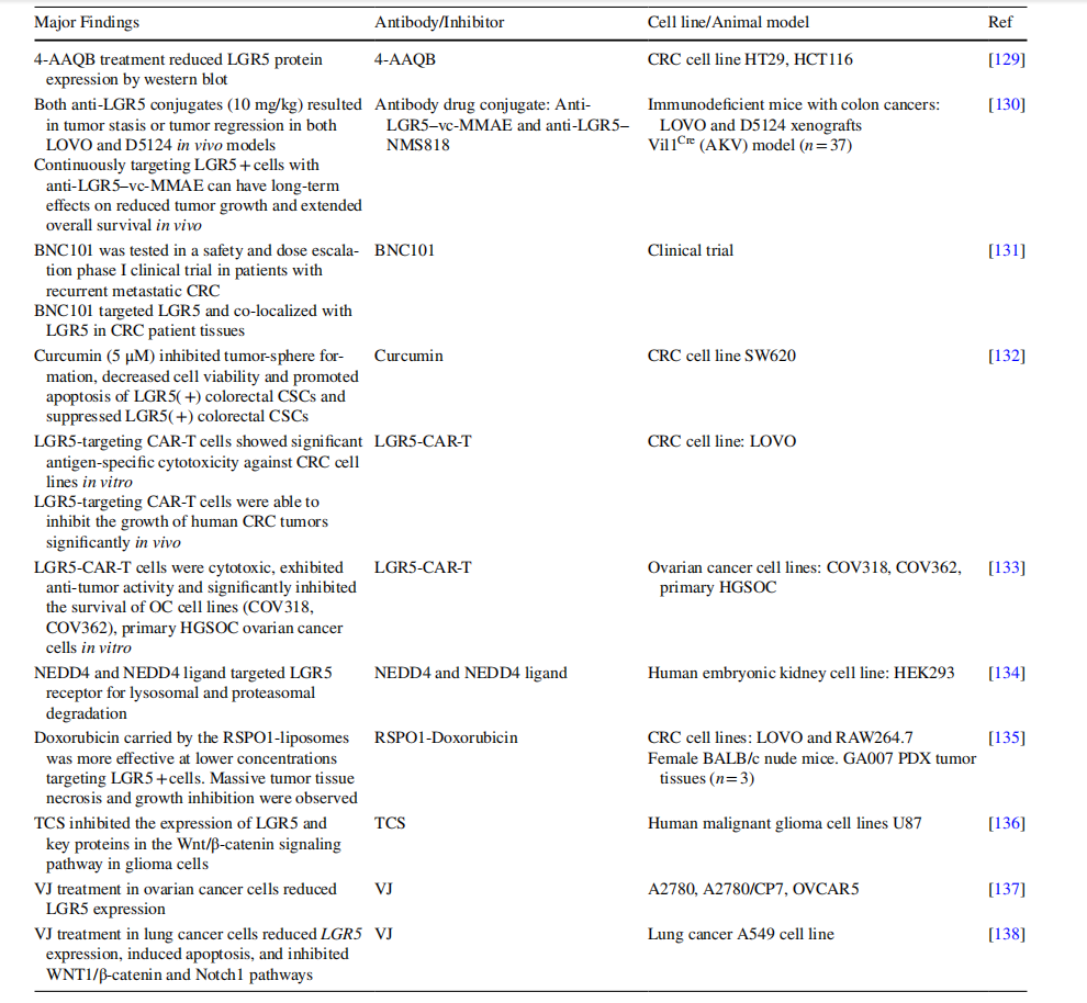 Wnt signaling coreceptor LGR5