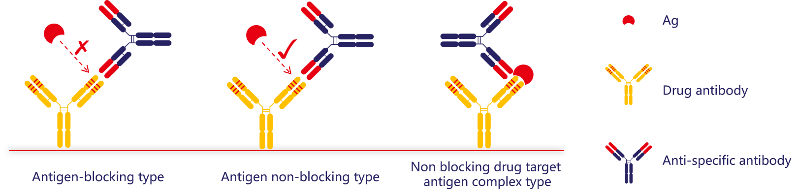 抗独特型抗体开发服务 抗独特型抗体开发服务