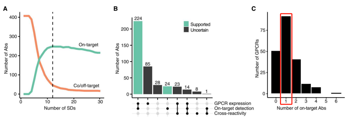 抗GPCR抗体的多重选择性筛选 抗GPCR抗体的多重选择性筛选