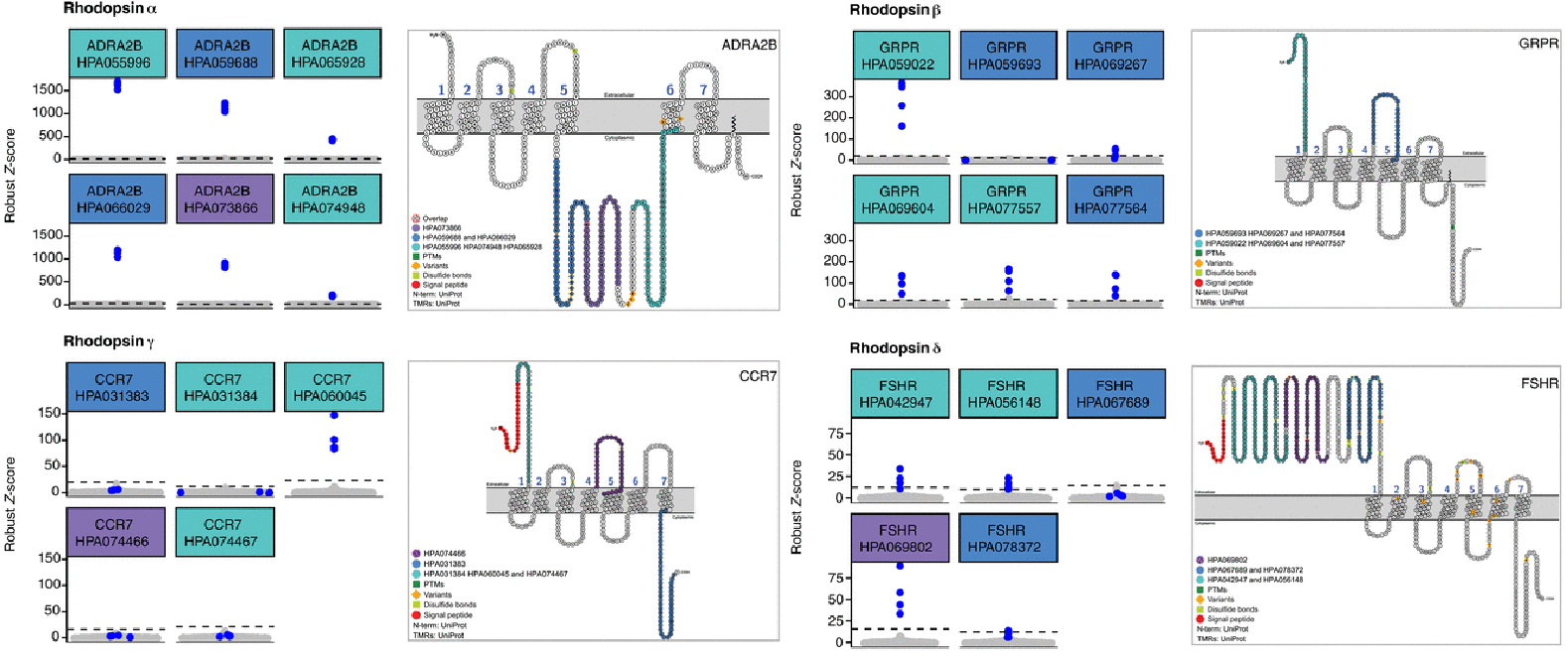 抗GPCR抗体的多重选择性筛选 抗GPCR抗体的多重选择性筛选