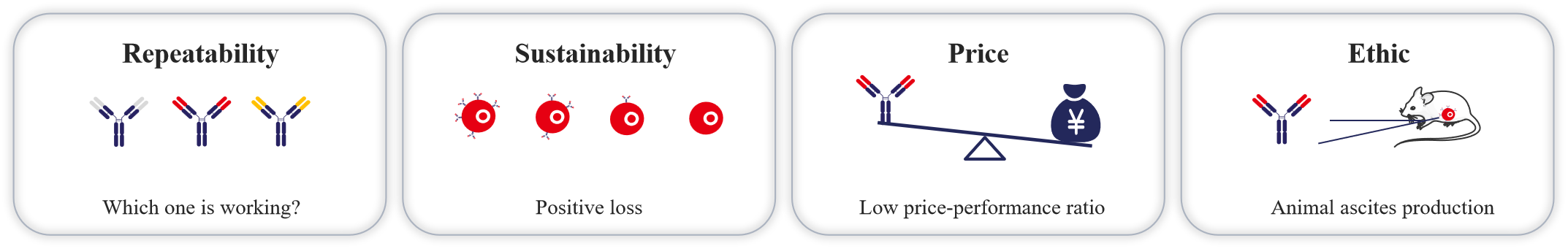 抗体表达 抗体表达