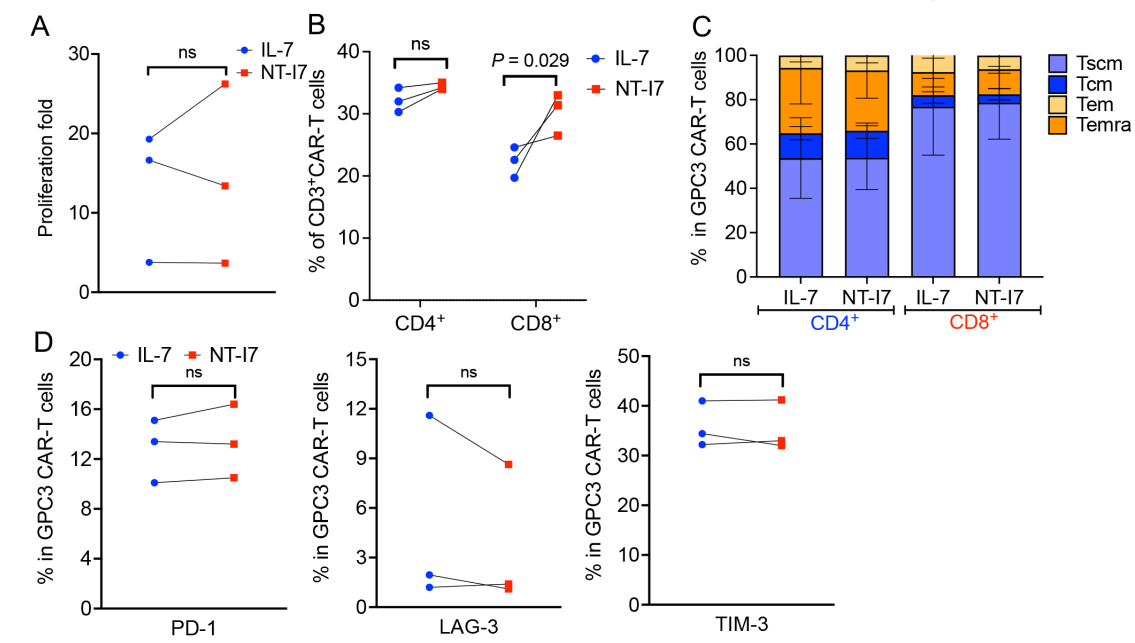rhIL-7-hyFc improves the efficacy of CAR-T cells in the treatment of solid tumors