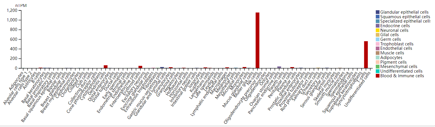 The target of cellular immunotherapy CD7